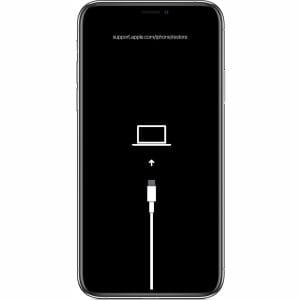 formation software iPhone Douala